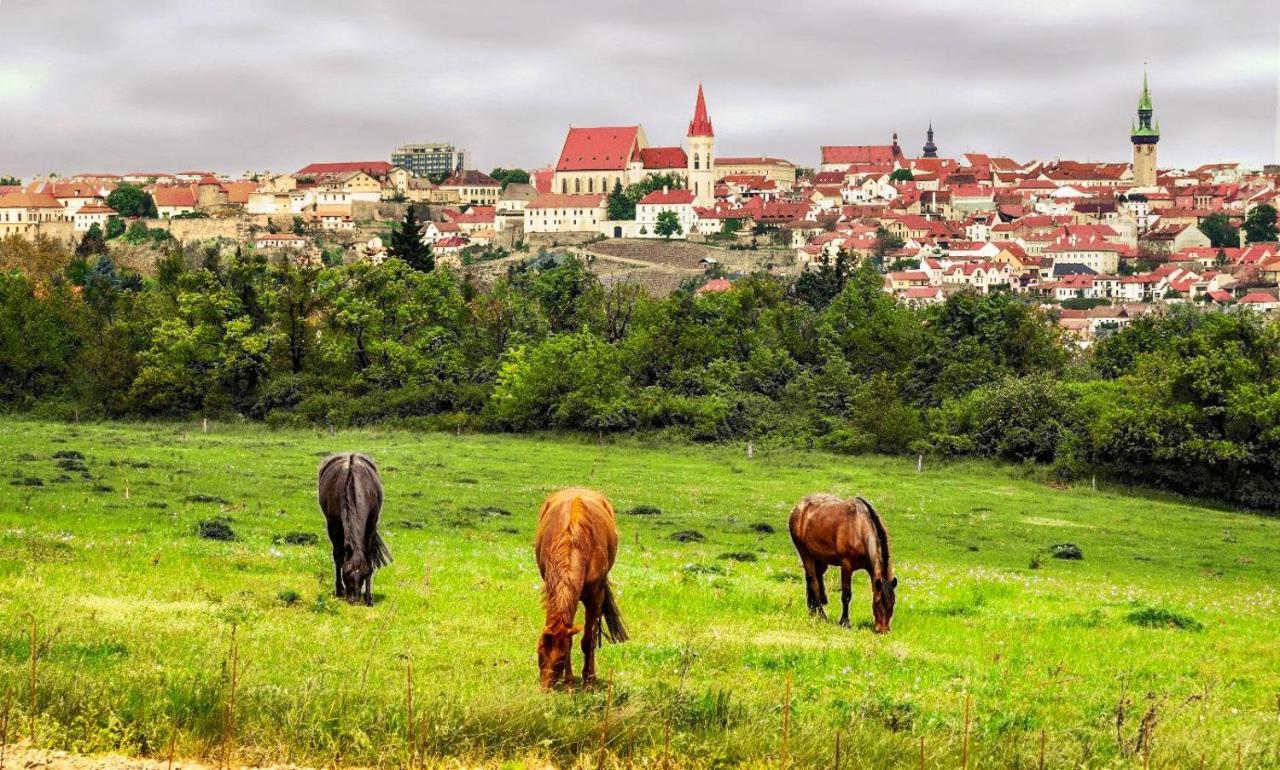 Vas Sklep - Vinny Sklep A Penzion Znojmo Buitenkant foto