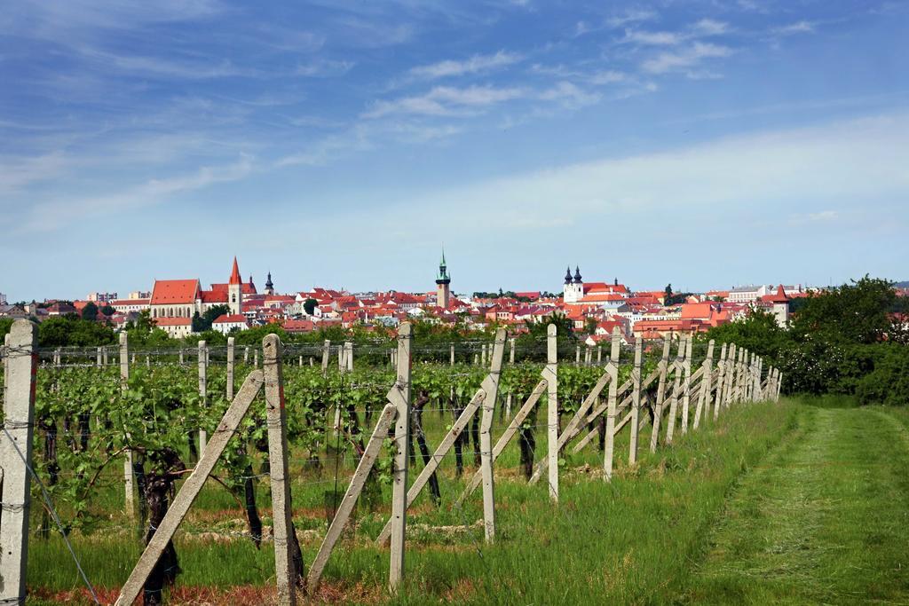 Vas Sklep - Vinny Sklep A Penzion Znojmo Buitenkant foto